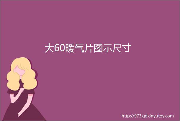 大60暖气片图示尺寸