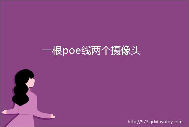 一根poe线两个摄像头