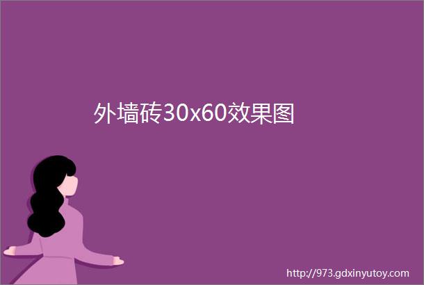 外墙砖30x60效果图