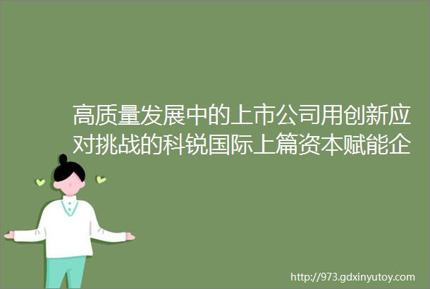 高质量发展中的上市公司用创新应对挑战的科锐国际上篇资本赋能企业快速发展