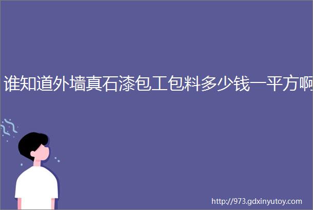 谁知道外墙真石漆包工包料多少钱一平方啊